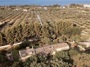 1 Bedroom Cottages on a Farm Estate near the Sea in Zakynthos, Ionian Islands, Greece